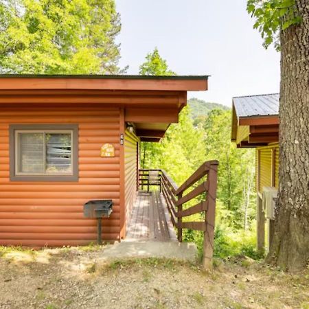 Lazy Bear Cabin Near Nantahala Outdoor Center And Bryson City Eksteriør bilde