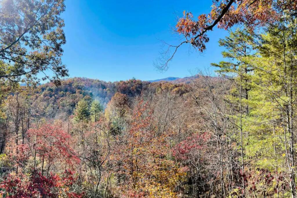 Lazy Bear Cabin Near Nantahala Outdoor Center And Bryson City Eksteriør bilde