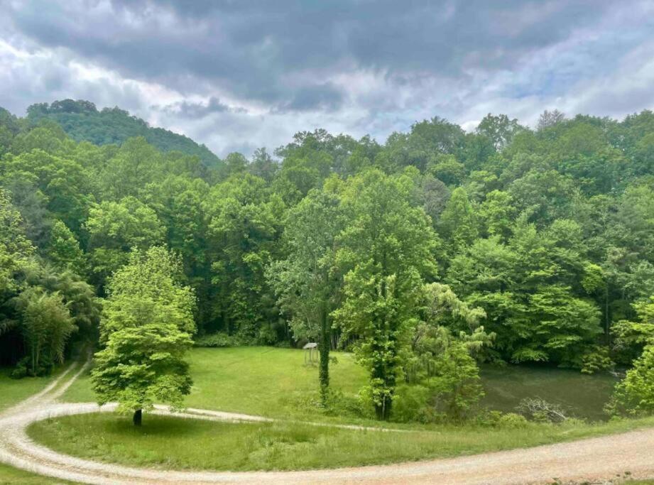 Lazy Bear Cabin Near Nantahala Outdoor Center And Bryson City Eksteriør bilde