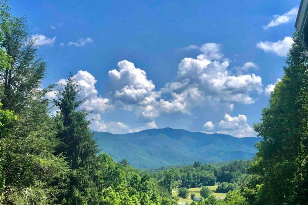 Lazy Bear Cabin Near Nantahala Outdoor Center And Bryson City Eksteriør bilde